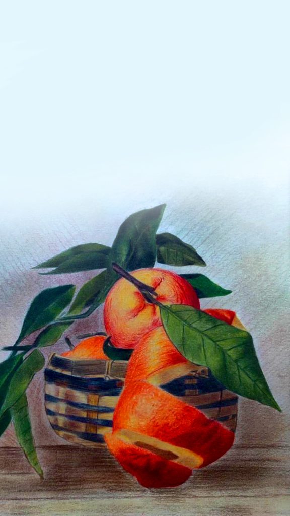 آموزش نقاشی مداد رنگی