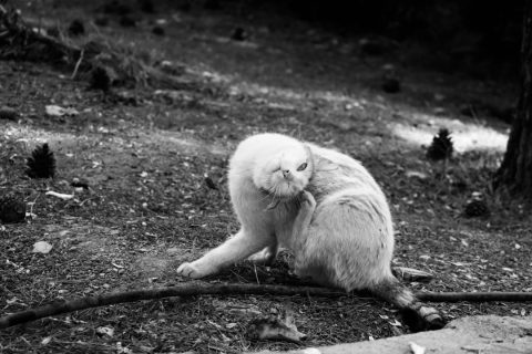 دوره جامع عکاسی