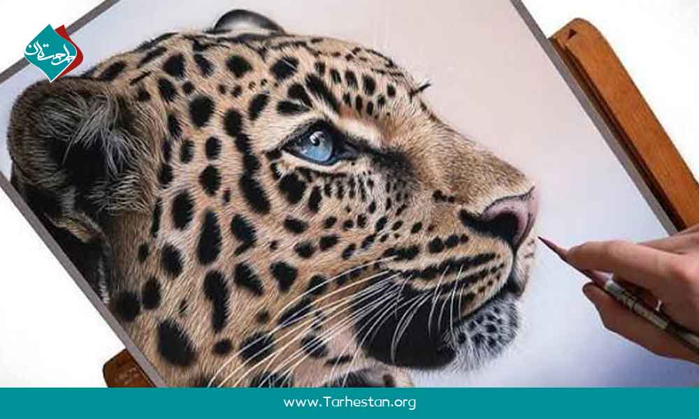 لوازم و ابزارهای مورد نیاز برای شروع نقاشی هایپررئال با مدادرنگی