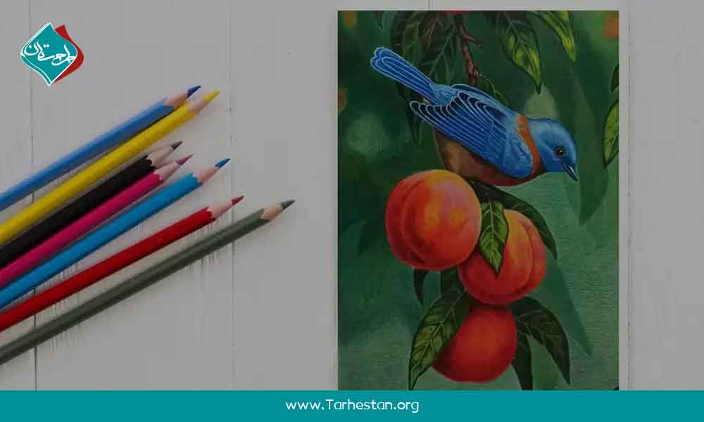 مسیر آموزش نقاشی هایپررئال با مدادرنگی