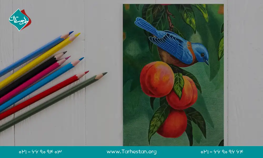 آموزش نقاشی با مداد رنگی | آموزش نقاشی با مداد رنگی ساده | آموزش مداد رنگی | نکات نقاشی با مداد رنگی | کلاس مداد رنگی | دوره مداد رنگی | آموزش مداد رنگی حرفه ای | آموزشگاه نقاشی